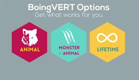 Boingvert Review: How the Program Works and Why It's NOT so Great.
